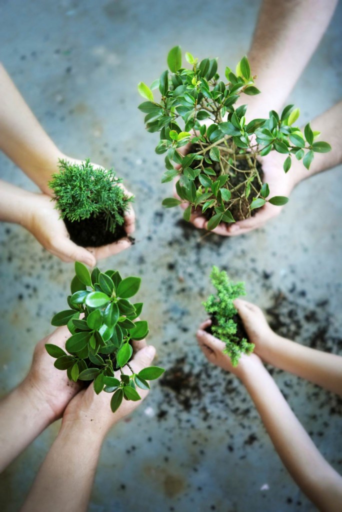 Tree-planting